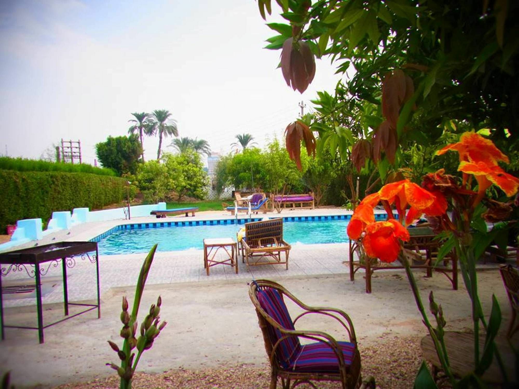 Nile Compound Hotel Luxor Kültér fotó